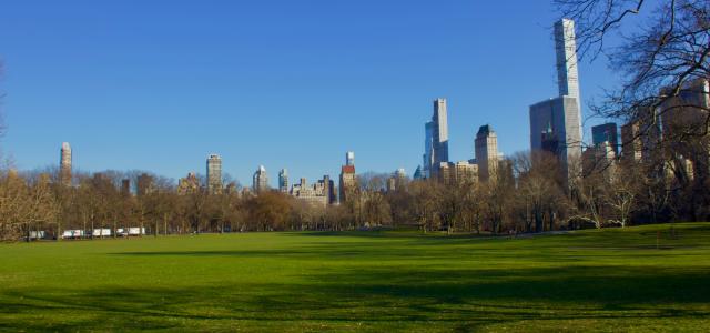 a grassy field in a park with a city skyline in the background by Srikumar A courtesy of Unsplash.
